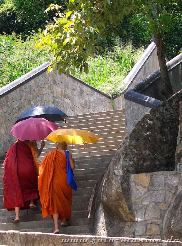 Mönche mit Schirmen steigen im Dambulla-Höhlentempel die Treppe hoch