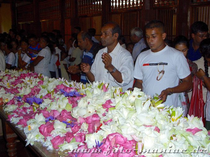 Blumen für die Pilger des Zahntempels in Kandy