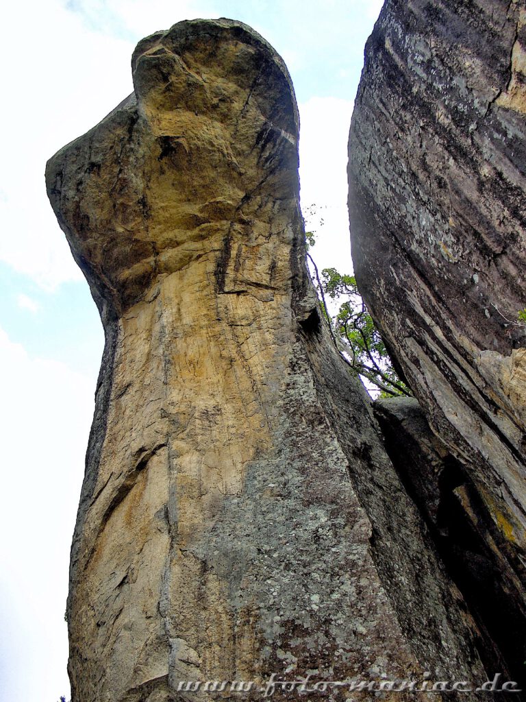Imposant ist der Kobrafelsen auf dem Monolith Sigiriya