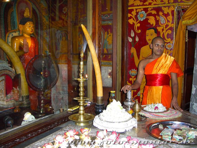 Im bergigen Zentrum Sri Lankas: Ein Mönch im Zahntempel von Kandy