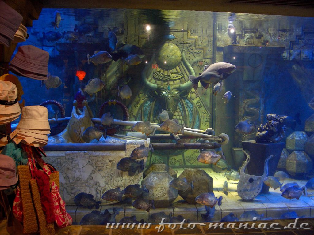 Meeresbewohner in einem Aquarium von Atlantis