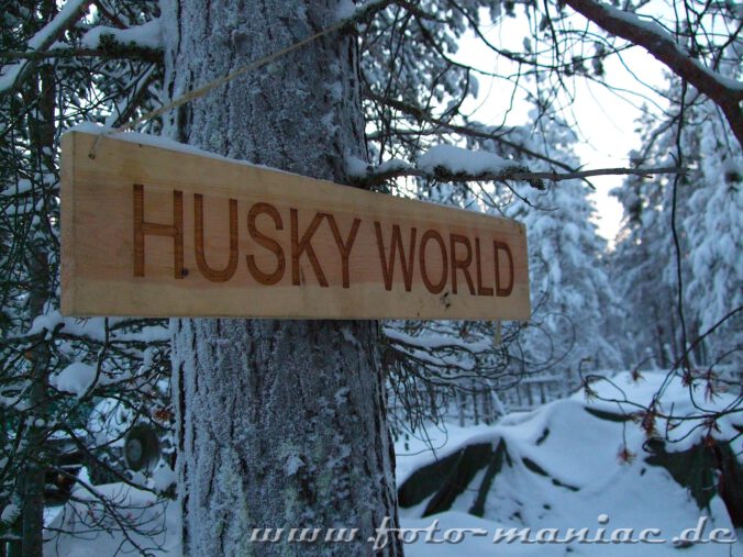 Ausflug in die Husky World