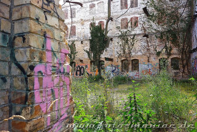 Unkraut wächst in den Ruinen der verlassenen Böllberger Mühle
