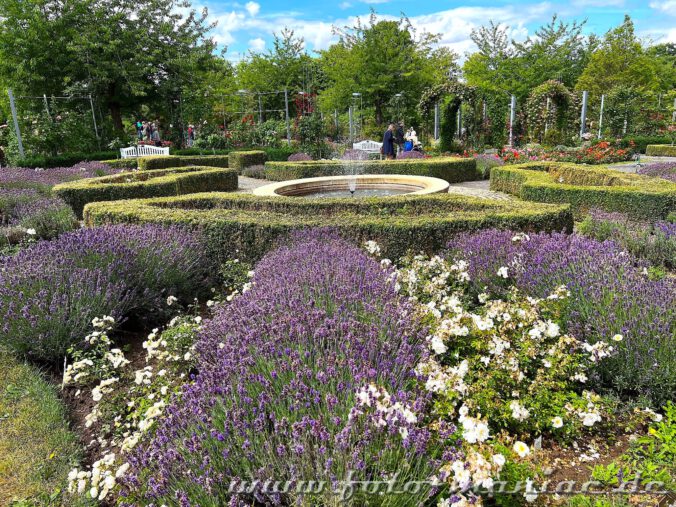 Springbrunnen inmitten von Buchsbaum und Lavendel