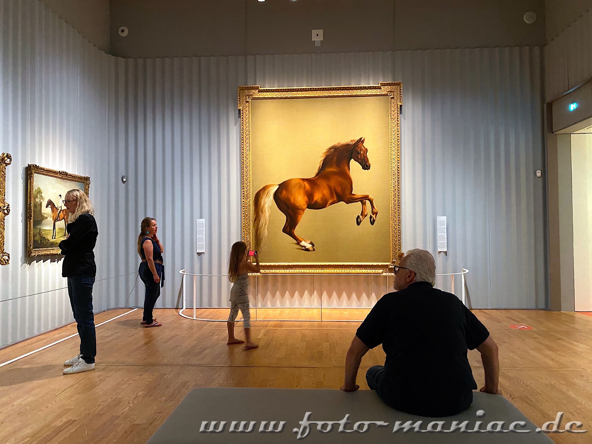 Pferdebilder im Museum Mauritshuis in Den Haag