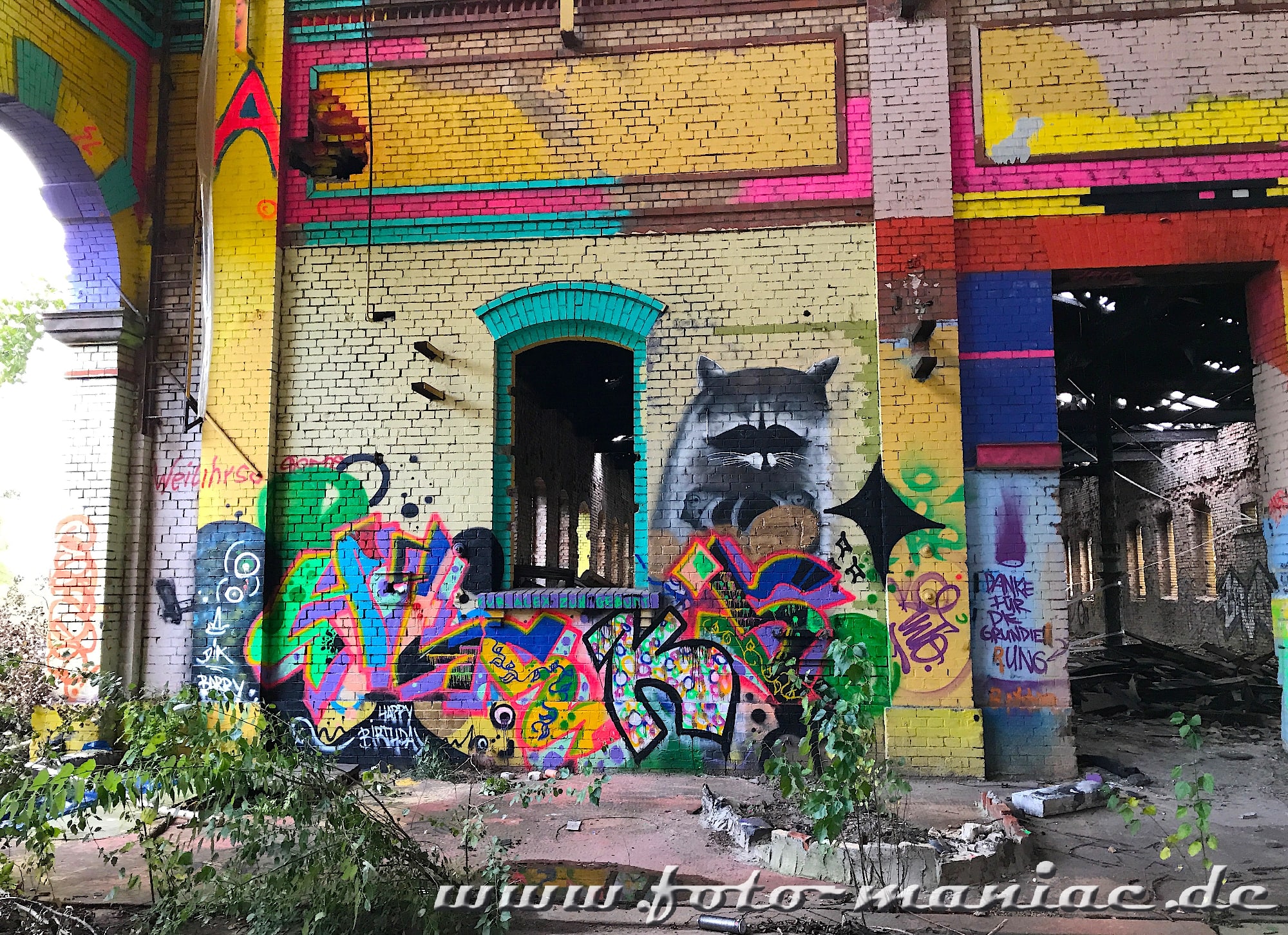 Ein Waschbär-Graffiti auf einer Wand im maroden Schlachthof in Halle