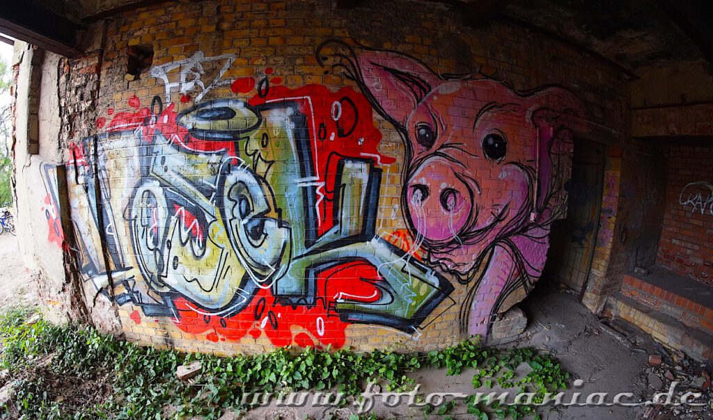 Ein Graffiti-Schwein in der verlassenen Brauerei in Böllberg