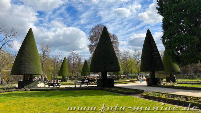 Bäume in Formschnitt sind ein Hingucker im Garten der Residenz in Würzburg