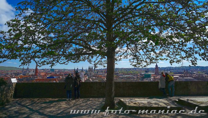 Vom Marienberg hat man einen trefflichen Blick auf die Altstadt Würzburg