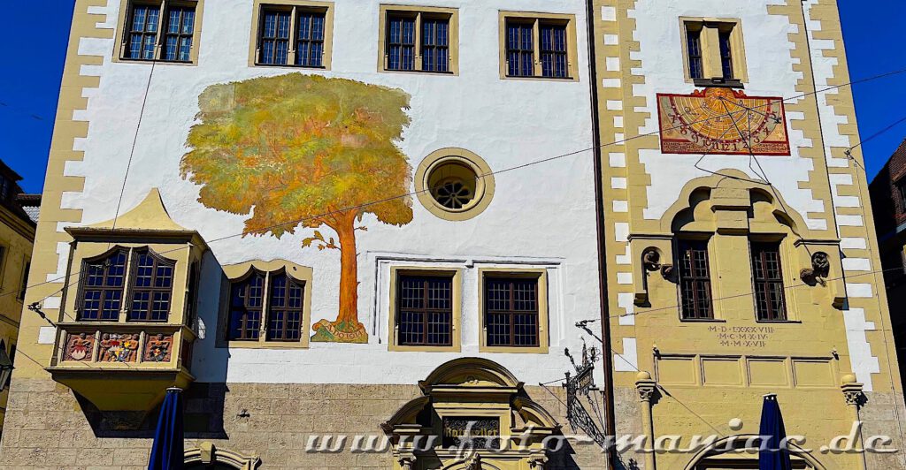 Fassade des Rathauses von Würzburg mit aufgemalter Linde