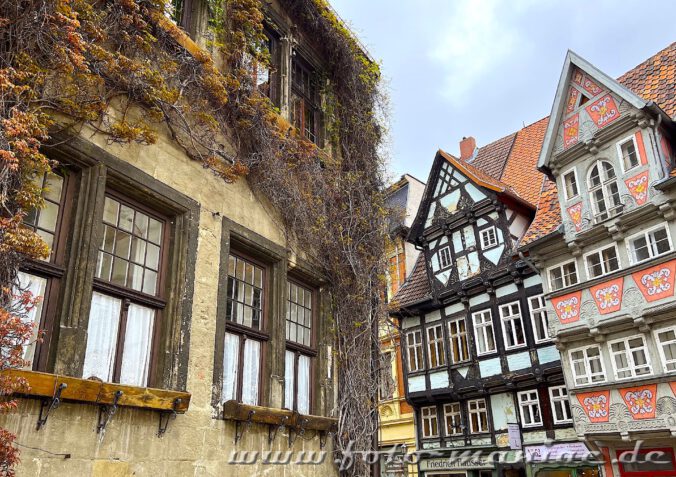 Schönes Fachwerk kann man bei einem Ausflug nach Quedlinburg sehen