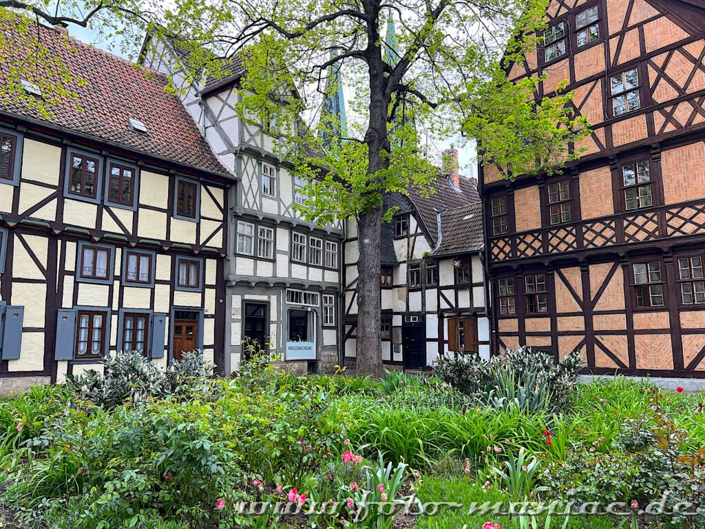 Viel Grün zwischen altem Fachwerk in Quedlinburg