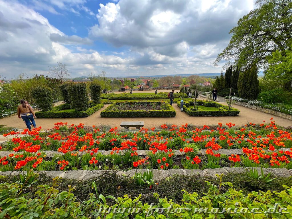 Blick in den Schlossgarten der Quedlinburger Residenz