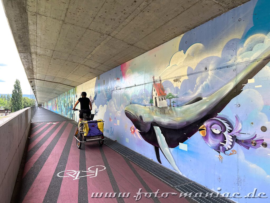 Hai und Radfahrer auf einer Graffitiwand unter der Schwarzwaldbrücke