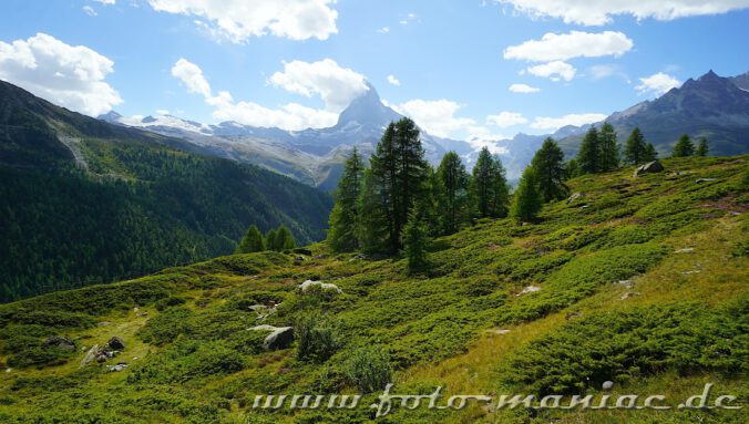 Kaiser von Zermatt: Grüne Landschaft und das Matterhorn