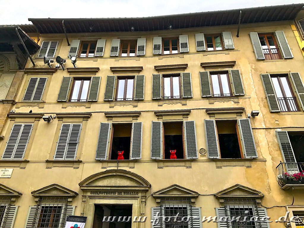 Zwei rote Hunde-Plastiken schauen in Florenz aus geöffneten Fenstern eines Gebäudes
