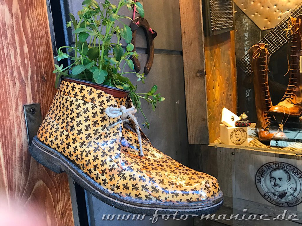 Ein Schuh mit Bepflanzung als Dekoration vor einem Schaufenster
