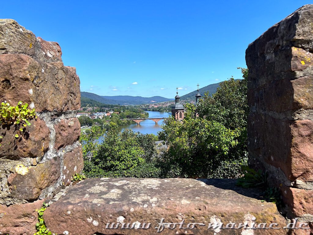 Bummeln durch Miltenberg - Blick von der Mildenburg auf den Main