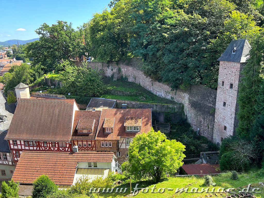 Blick von der Mildenburg auf Fachwerk und eine Stadtmauer von Miltenberg