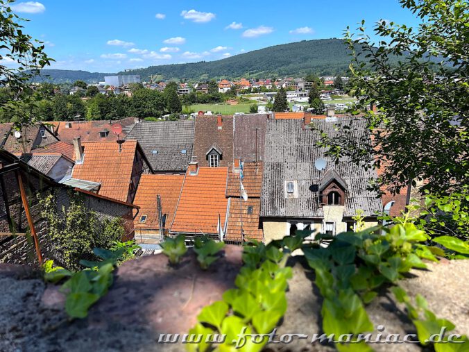 Blick von der Mildenburg auf Dächer von Miltenberg