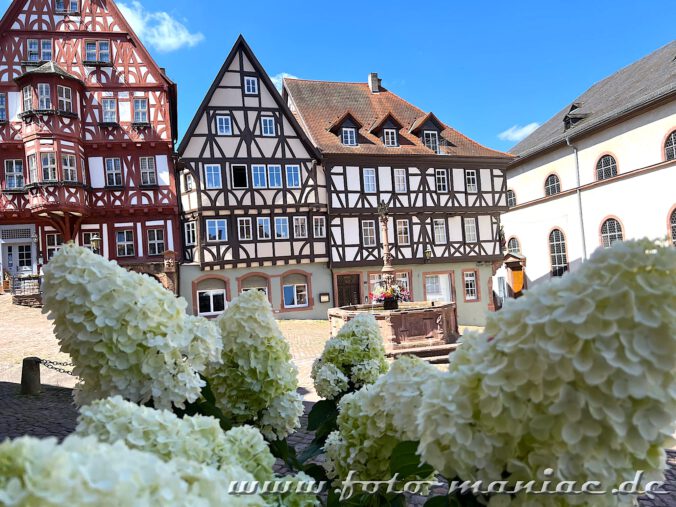 Blick auf die Fachwerkgebäude auf dem Markt von Miltenberg