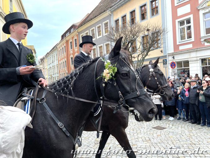 Osterreiter von Bautzen auf festlich geschmückten Rössern geschmückte Rösser
