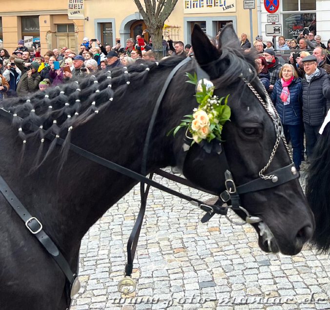 Die Osterreiter von Bautzen verkünden die Botschaft von der Auferstehung Christi auf festlich geschmückten Pferden