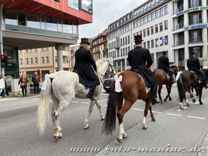 Die Osterreiter von Bautzen verkünden die Botschaft von der Auferstehung Christi auf festlich geschmückten Pferden